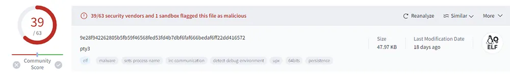VirusTotal Scan of 'pty3' Binary File